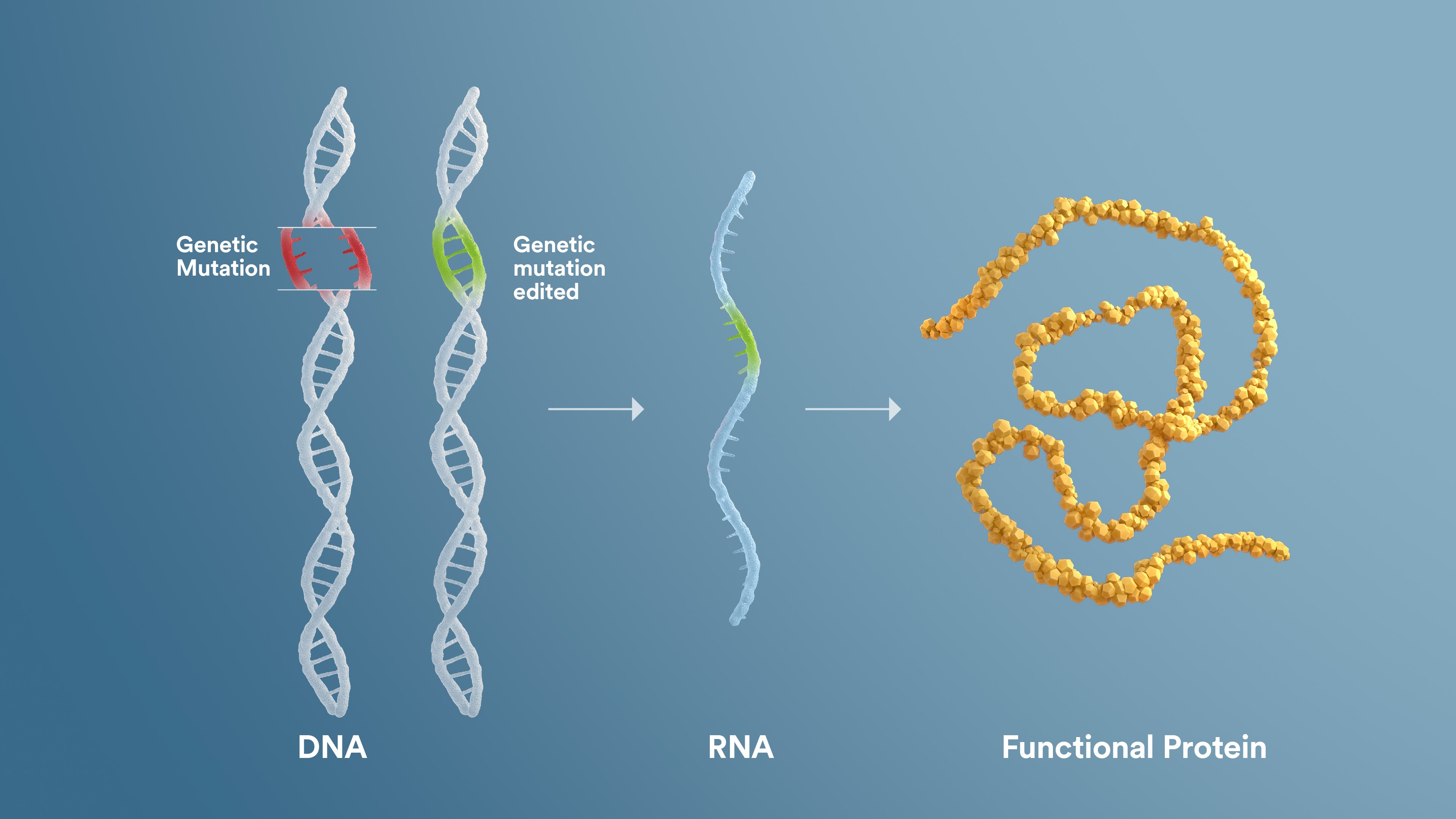 the-science-behind-our-precision-genetic-medicine-platforms-sarepta